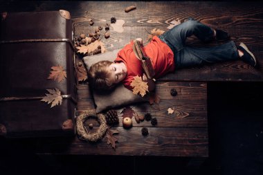 Sevimli küçük çocuk çocuk sonbahar için hazırlanıyor. Sonbaharda oynayan bir çocuk. Küçük sevimli çocuk sonbahar yaprakları ile ahşap zemin üzerinde yatıyor ve kitap okuyun. Çocuklar için tüm sonbahar giysileri için en büyük indirimler.