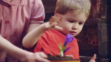 Mutlu sarışın çocuk anne çiftlikte açık alanda dikim için fidan dikme yardımcı olur. Küçük çocuk, ev bahçesindeki plastik kaplarda fidan tutuyor. Yakından görüş. Seçici odak. Anne ve oğlu.