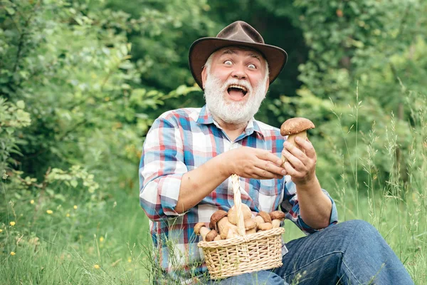 Grandfather with basket of mushrooms and a surprised facial expression. Mushroom in the forest, senior man collecting mushrooms in the forest. — Stock Photo, Image