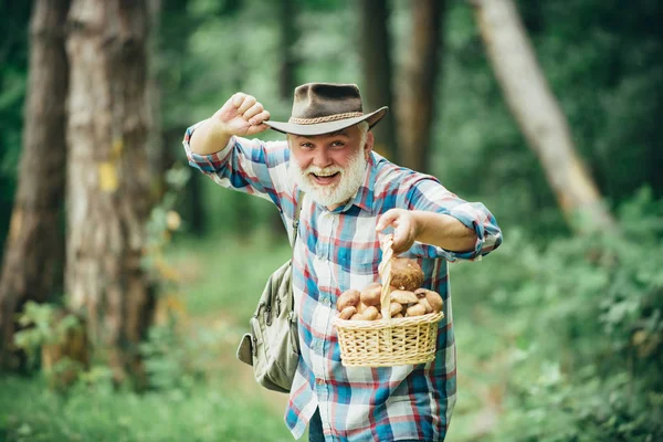 Pilzsuche im Wald, Großvater auf Pilzsuche über sommerlichem Waldhintergrund. — Stockfoto