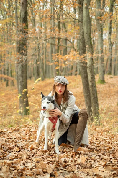 Menina mulher muito elegante andando com floresta de outono cão husky. Conceito de cão pedigree. Melhores amigos. Amor incondicional. Menina gosta de andar com cão husky. animal de estimação favorito husky siberiano. Criação de animais — Fotografia de Stock