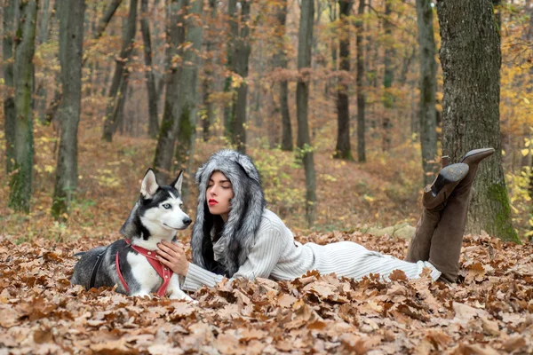 Vida selvagem. Criação de animais. Menina mulher muito elegante andando com floresta de outono cão husky. Conceito de cão pedigree. Menina gosta de andar com cão husky. Amor incondicional. Siberian husky animal de estimação favorito — Fotografia de Stock