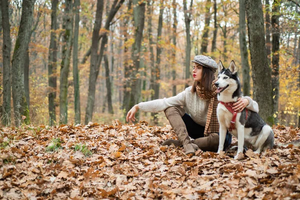 Mädchen gehen gerne mit Husky-Hund spazieren. Siberian Husky Lieblingstier. Tierhaltung. Mädchen ziemlich stylische Frau spazieren mit Husky Hund Herbst Wald. Tierdressur. Stammhundekonzept. Beste Freunde — Stockfoto