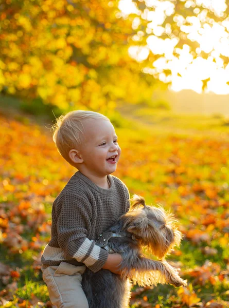 Herfst kinderen. Mooie kleine jongen spelen met haar Yorkshire Terrier in Park. Geniet van de herfst met je vriend. Echte Childrens emoties. — Stockfoto