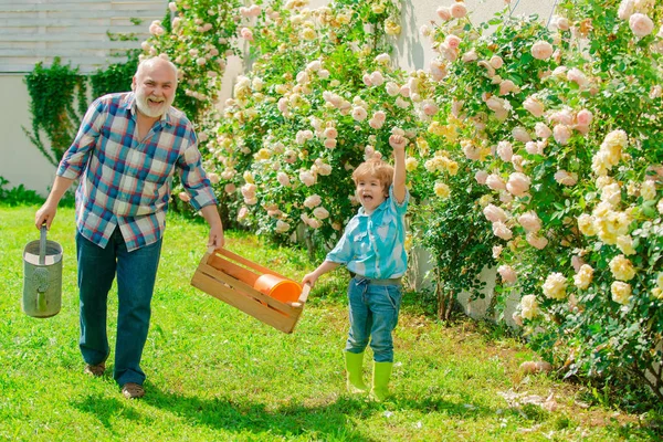 Grandfather and grandson. Old and Young. Concept of a retirement age. Father and son grows flowers together. Senior man with grandson gardening in garden. — Stock Photo, Image