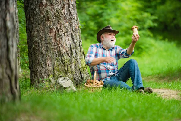 Mushrooming in forest, Grandfather hunting mushrooms over summer forest background. Mushroomer gathering Mushroom hunting. Man cutting a white mushroom. — Stock Photo, Image