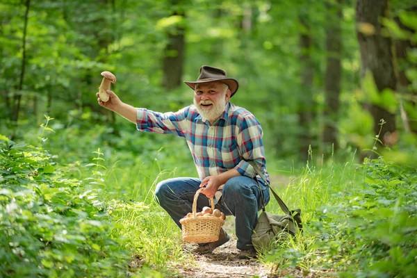 Heureux grand-père - été et passe temps. Le vieil homme marche. Grand-père pensionné. Randonnée pédestre senior en forêt. Récolte de champignons dans la forêt sauvage . — Photo