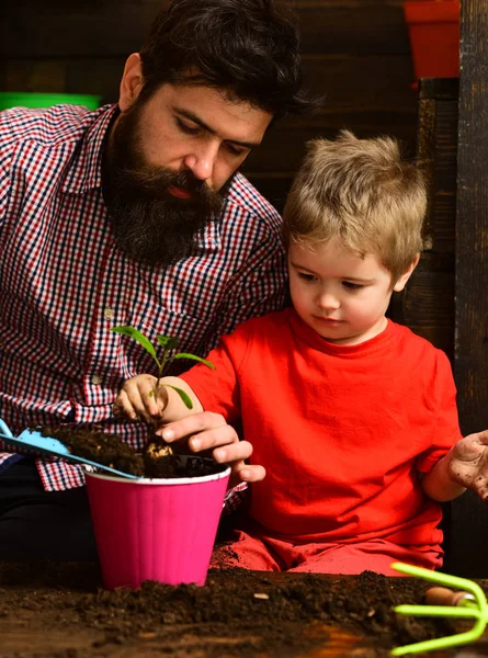 Flower care watering. Soil fertilizers. Father and son. Fathers day. Family day. Greenhouse. happy gardeners with spring flowers. bearded man and little boy child love nature. Live brightly