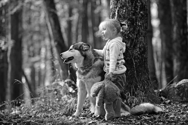 Menina bonita andando com cachorro grande. Melhor amigo e companheiro. Jovem alegre cão de estimação menina enquanto está em pé na floresta ao ar livre — Fotografia de Stock