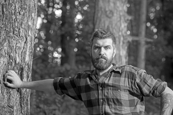 ひげと口ひげの森でハイキングを持つ男を集中しました。一人の旅人の木、アクティブなライフ スタイルと休暇の概念の横にある休憩 — ストック写真