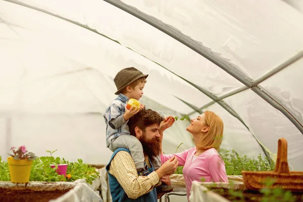 День семьи. fmily day holiday on 15 May. Fmily day with happy family in greenhouse. любовь — стоковое фото