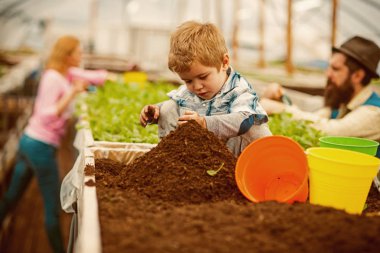 toprak hazırlanıyor. dikim için toprak hazırlayan küçük çocuk. toprak hazırlama konsepti. genç bahçıvan ailesinin toprak hazırlanması. Bahçıvan.