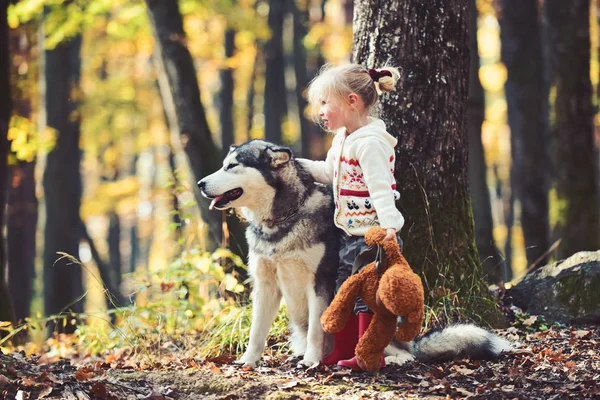 Petite fille avec chien un bois d'automne — Photo