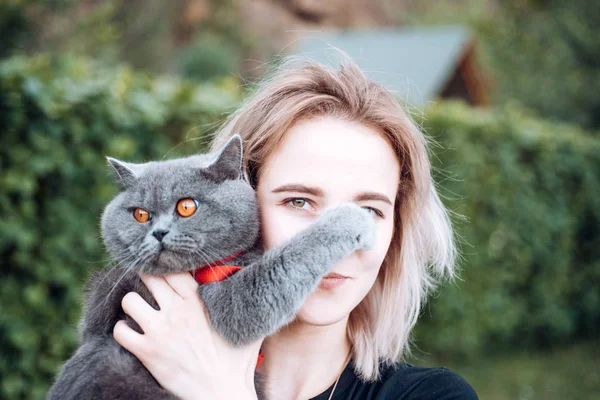 En sevdiğin evcil hayvan. Kız gümüş kabarık kedi taşır. Açık havada evcil hayvan sesi duyarak yürümek. Veteriner dükkanı eczanesi. Veterinerlik konsepti. Hayvanları sever. İngiliz kedisi sevimli gözleri. Eğlenceli sevimli hayvan. Evcil hayvan bakımı