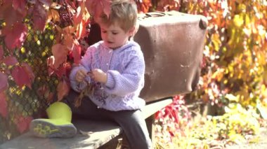 Sonbahar yaprakları. Sonbaharda oturan sevimli çocuk parkta yapraklar. Çocuklar sonbahar parkında oynar. düşmüş yaprakları atma sevimli mutlu bebek çocuk. Sonbahar çocuk.