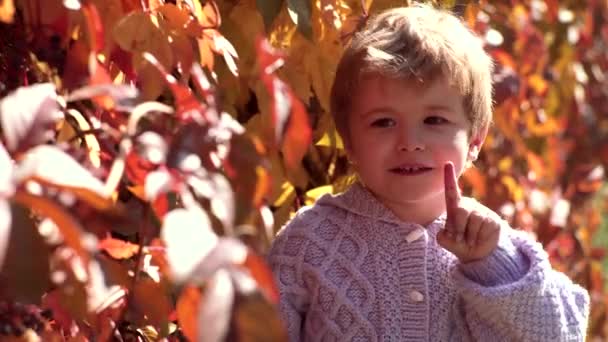 Cute child boy having fun in autumn park. Waiting in autumn park. Adorable toddler girl portrait on beautiful autumn day. Baby with yellow leaf. Autumn day. — Stock Video