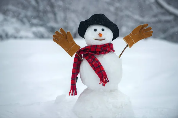 The snowman is wearing a fur hat and scarf. Happy new year. Christmas background with snowman. Happy snowman standing in winter Christmas landscape