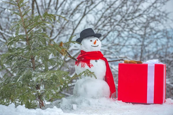 森の中で新鮮に切り倒されたクリスマスツリーを持つ雪だるま。若い雪だるまが白い雪の背景にモミの木を負担します。スノーマンは木の中でクリスマスツリーを運んでいる. — ストック写真