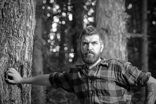 木に寄りかかって残忍な木材ジャック。森の中をさまよっている腕にバラの入れ墨を持つひげを生やした男。夏の森でのハイキング — ストック写真