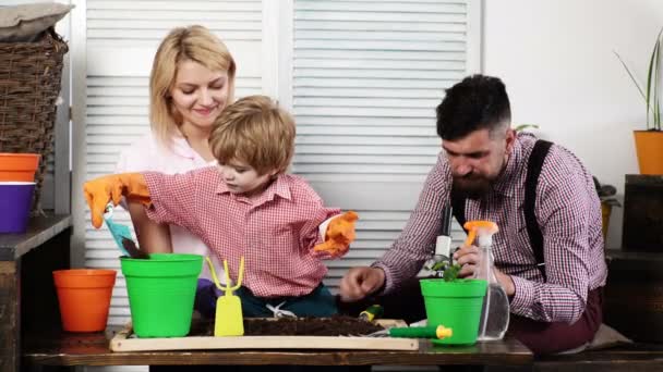 Happy family gardening together and taking care of nature. Summer concept, nature and care. Cute child boy helps his parents to care for plants. Plant flowers. Man looks at microscope. Happy family. — Stock Video