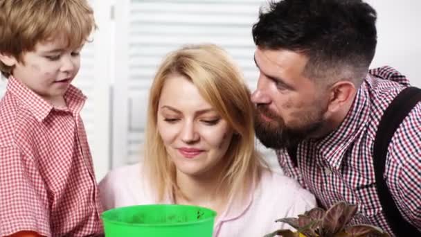 Funny family with dirty faces, closeup. Father mother and son look into the pot. First flower. Love and solicitude. Cute boy. Take care. Family gardeners. Summer concept. Macro familys faces. — Stock Video