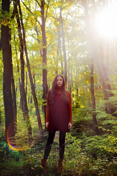 Autumnal melancholy. Pretty woman stand nature forest background. Fall fashion. Enjoy fall season. Relaxing in nature. Woman enjoy nature alone. Nature is source of power for her. Natural beauty