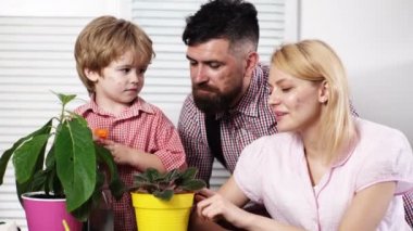 Gardners ailesinin kirli yüzleri. Aile tencereye çiçek ekiyor. Yaz ve hobiler, aile birlikte çiçek yetişir. Güzellik ve doğa. Çocuklarla eğlence, gelişim ve eğitim.