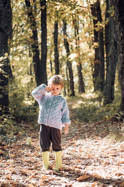 Concepto de otoño infantil. Otoño y caída de hojas Sueños. Retrato de lindo niño caminando al aire libre . — Foto de Stock