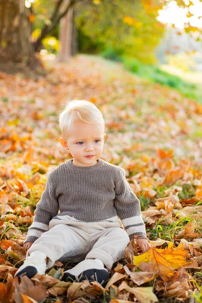 Őszi Baby. A kis gyerek ül a leveleken, és keresi egyenes. Első lépéstörés. — Stock Fotó