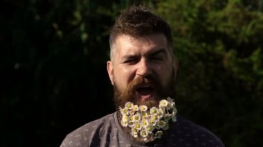 Sakalında çiçekler olan bir adam. Yaz güneşli bir günde komik sakallı adam. Yeşil arka plan. Çiçekli komik bir adam. Arka plan. Sakallı adam komik suratlar yapıyor, kaşlarını kaşlarını kAldırıp kaldırıyor..