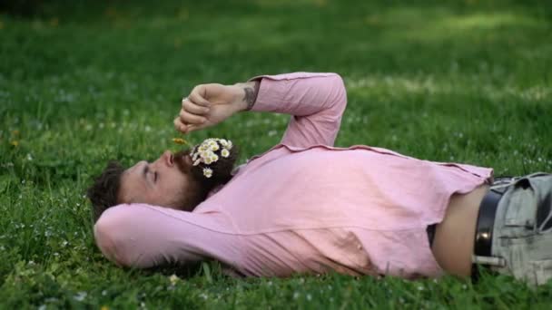 Uomo disteso sull'erba con la camomilla nella barba e i denti di leone profumati. Uomo sdraiato sull'erba. Persone con la natura. Sdraiato sull'erba verde all'aperto nel parco. Piacere con la natura. Respirare aria fresca e pulita . — Video Stock