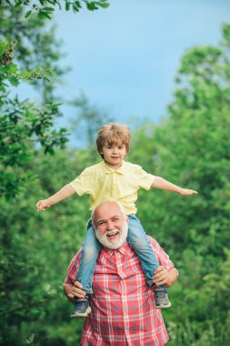 Mutlu aile - dedesi ve çocuk doğada yaz aylarında çayırda. Mutlu dedesi portresi torunu sırtında piggyback binmek veren ve yukarı bakıyor.