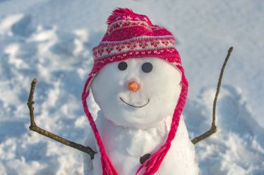 Kardan adam selamlıyorum. Kış zamanı sahnesi. Kardan adam ile Noel arka plan. Beyaz kar arka plan üzerinde kardan adam ile Kış sahnesi. Mutlu kış zamanı