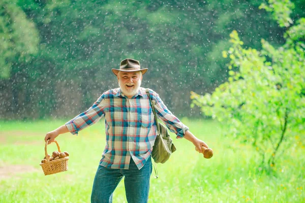 Nyári eső. Öregember gyaloglás. Nagypapa nyugdíjas. Senior túrázás gombák esős erdőben. Nyár és hobbi. — Stock Fotó