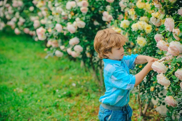 Plantar flores. Criança trabalhando no jardim perto de flores jardim. Um filho feliz a trabalhar no jardim. Atividade de jardinagem com criança. Flor rosa cuidado e rega . — Fotografia de Stock