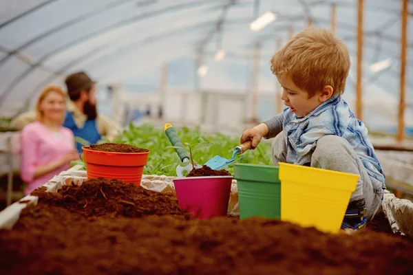 Tester le sol. petit jardinier testant le sol en serre. expert agricole enfant tester le sol. tester le concept de sol. quand grandira-t-il . — Photo