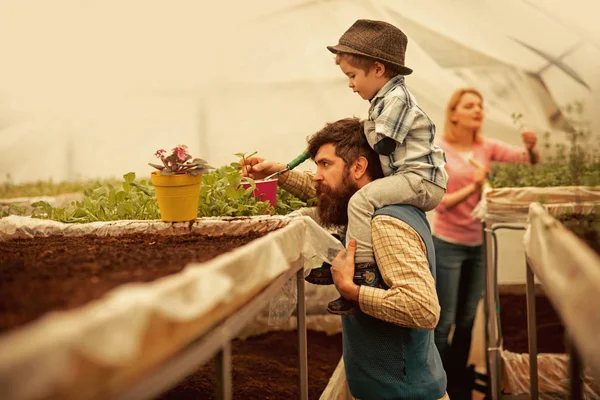 family garden. happy family work in garden. family garden concept. family seeding in greenhouse garden. taking good care of plants.