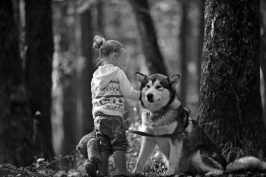 Sonbahar ormandaki köpekle oynayan küçük kız