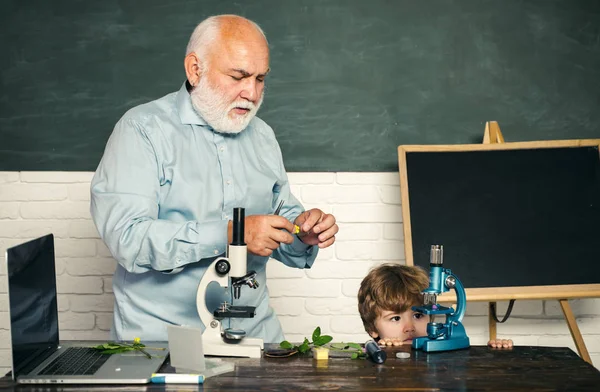 El chico está aprendiendo en clase en el fondo de la pizarra. En la escuela. Los buenos maestros disfrutan enseñando. Científico de niños pequeños ganando Biología en el laboratorio escolar. Educación en el hogar . — Foto de Stock