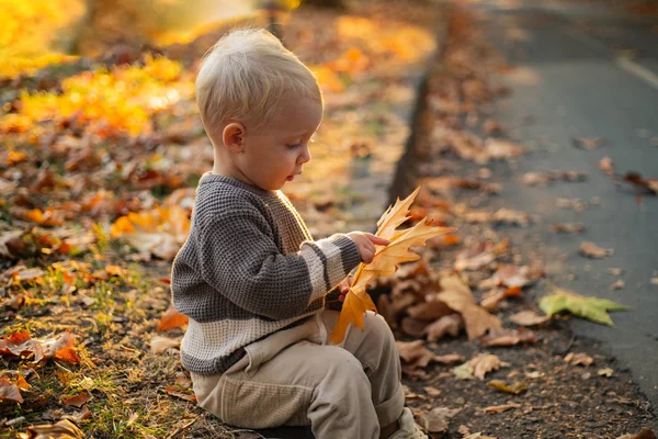 儿童时尚。快乐的童年。童年的记忆。儿童秋叶背景。秋天的温暖时刻。幼儿蓝眼睛享受秋天。阳光明媚的秋日小时尚婴儿幼儿 — 图库照片