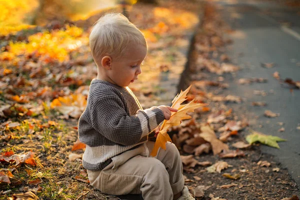 Barnens mode. Lycklig barndom. Barndomsminnen. Barn höstlöv bakgrund. Varma stunder av höst. Småbarn pojke blå ögon njuta av hösten. Liten snygg baby småbarn på soliga höstdagen — Stockfoto