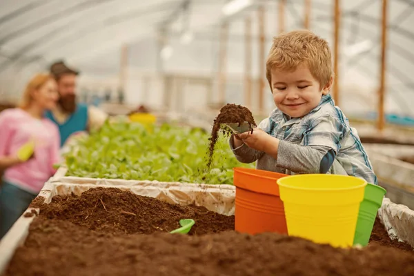 Rena produkter. rena produkter industrin. liten pojke som växer rena produkter. rena produkter koncept. skönhet trädgård. — Stockfoto