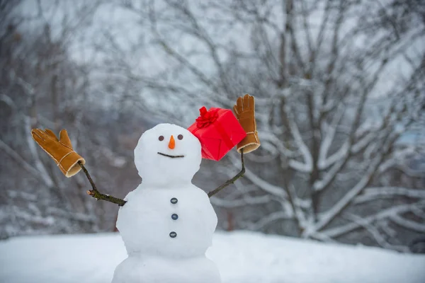 Saudação boneco de neve. Bonito boneco de neve em chapéu e cachecol no campo nevado com presente de Natal surpresa. Feliz sorrindo homem neve - conceito de desconto de venda. Presente de design artesanal . — Fotografia de Stock