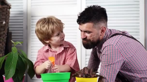 Vater und Sohn kümmern sich um Pflanzen. Konzept der glücklichen Familie. Mann und Junge pflanzen und sprühen Blumen in Töpfe. Freundschaft zwischen Vater und Sohn. Vatertag. Vater und Sohn. Pflege der Pflanzen. Avocado im Topf — Stockvideo