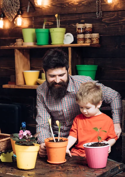 Отец и сын. День Отцов. Счастливые садовники с весенними цветами. бородатый мужчина и маленький мальчик любят природу. Семейный день. Теплица. Уход за цветами. Почвенные удобрения. Это моя жизнь. — стоковое фото