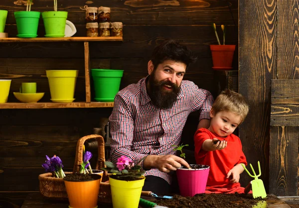 Бородатый мужчина и маленький мальчик любят природу. Счастливые садовники с весенними цветами. Отец и сын. Семейный день. Теплица. Уход за цветами. Почвенные удобрения. Работа в зеленой среде — стоковое фото