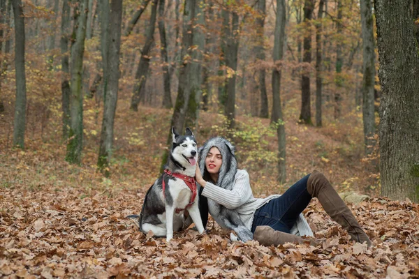 Selvagem de alma. Amor incondicional. animal de estimação favorito husky siberiano. Criação de animais. Menina mulher muito elegante andando com floresta de outono cão husky. Conceito de cão pedigree. Menina desfrutar de andar com cão husky — Fotografia de Stock