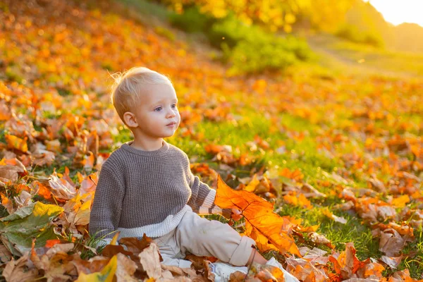 童装时尚。童年的回忆儿童秋叶背景.秋天温暖的时刻。小男孩的蓝眼睛喜欢秋天。在阳光明媚的秋日,一个时髦的小宝宝蹒跚学步.快乐的童年 — 图库照片
