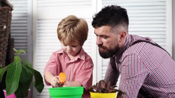 植物の植え付けと世話。かわいい子供の男の子は、植物の世話をするために彼の父を助ける。お父さんと息子は家でガーデニングに従事しています。夏の日に幸せな家族。汚い顔をした男と少年は植物をスプレー. — ストック動画