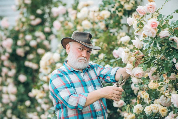 Großvater im schönen Garten. Konzept eines Rentenalters. Obergärtner. Porträt des Großvaters bei der Arbeit im Blumengarten. Frühling und Hobbys. — Stockfoto